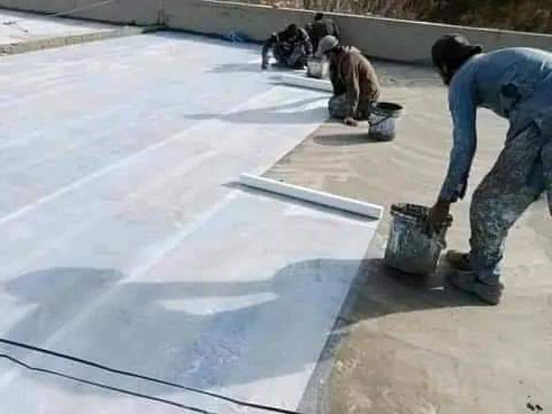 Roof Water Proofing with warranty/Termite Proofing 14