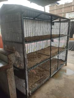 Extra large Cage (pinjra)