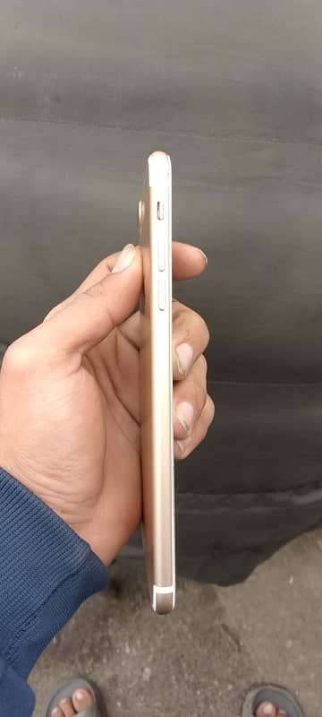 iphone7plus non pta 128 7