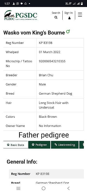 top quality German shepherd pedigree imported lines 15