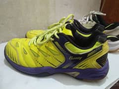 Badminton Shoes ( 42 size) lining