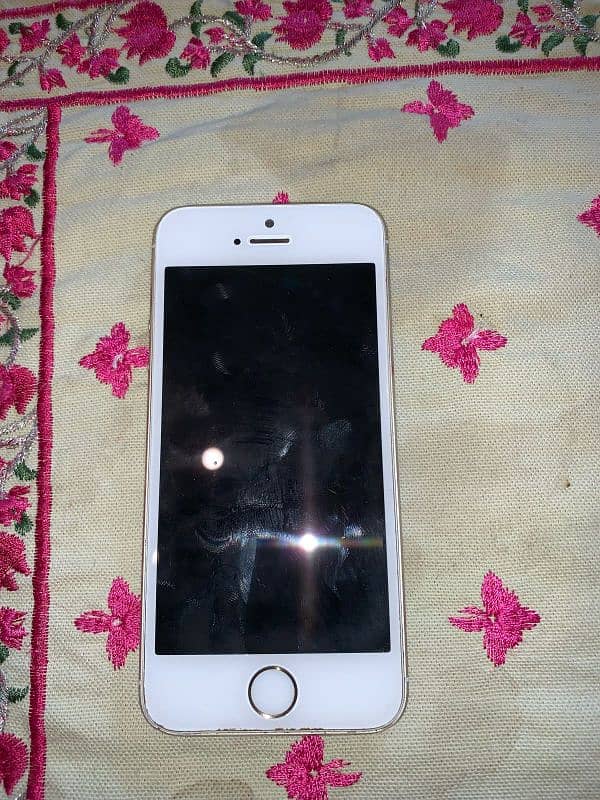 iPhone 5S 2