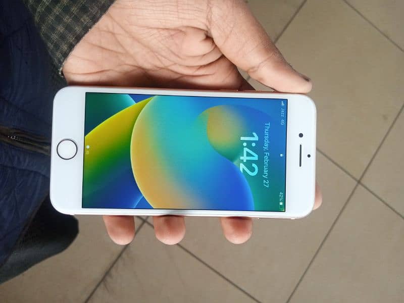 IPhone 8 256 GB Pta WhatsApp 03284181610 6