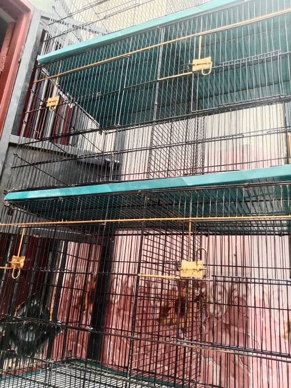 parrot 8 portion cage 0