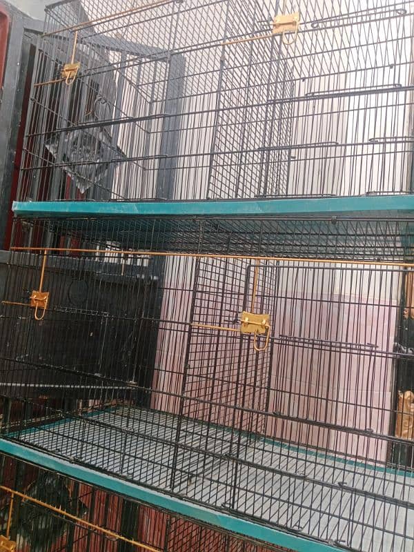 parrot 8 portion cage 1