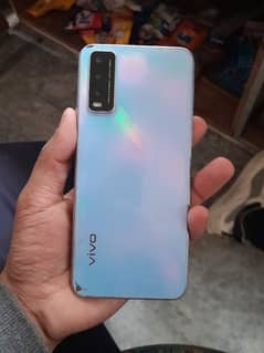 vivo