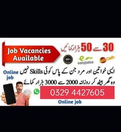 Online Job / Typing job / Assignment Job / Data Entry Job / Home Work