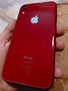 iphone xr 128gb pta approved