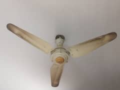 I want to sale 3 ceiling Fans urgent