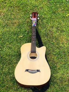 sixting acoustic guitar