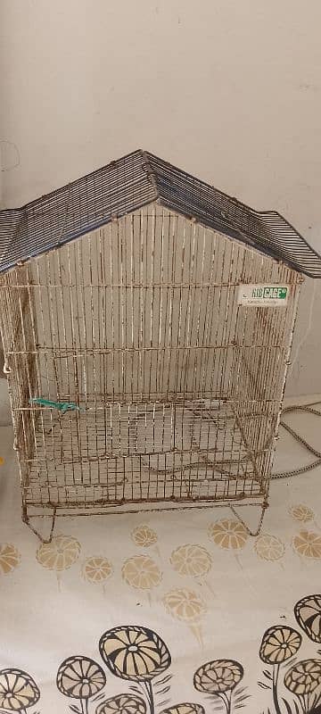 hen and birds cage 0