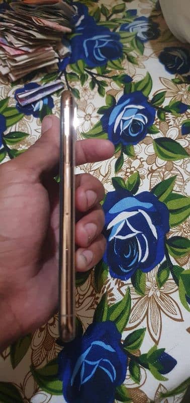 Iphone Xs 64Gb ( Golden ) 1