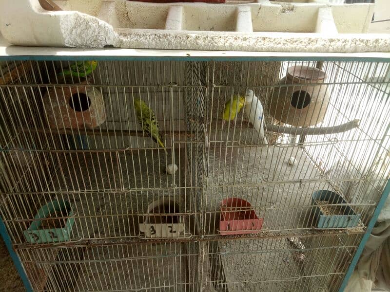 cage for sale 3