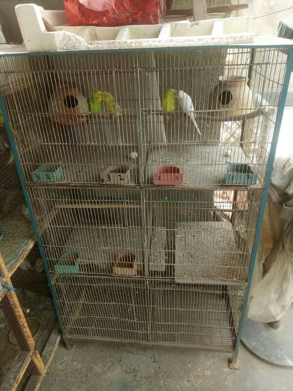 cage for sale 4