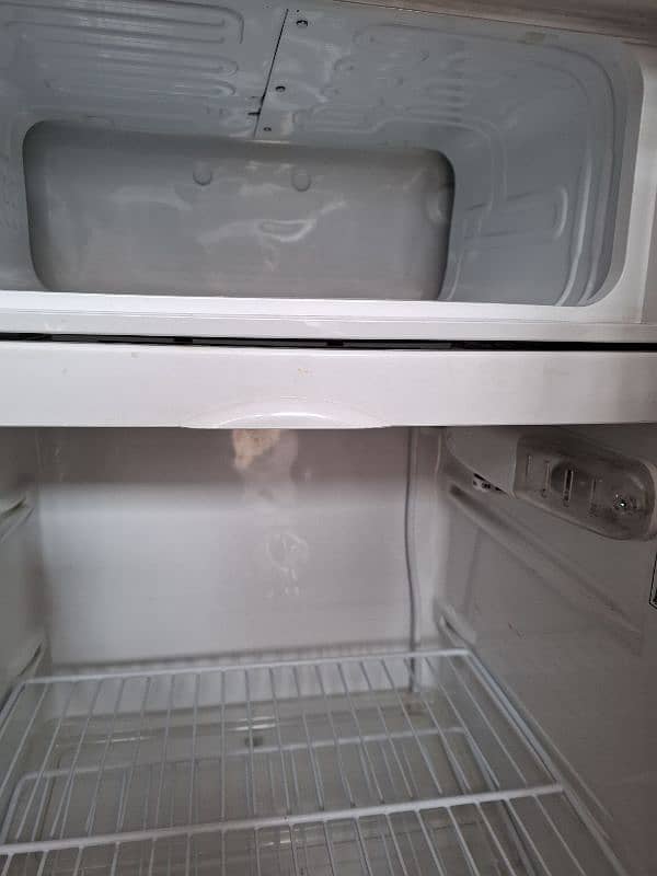 PEL single door fridge 1