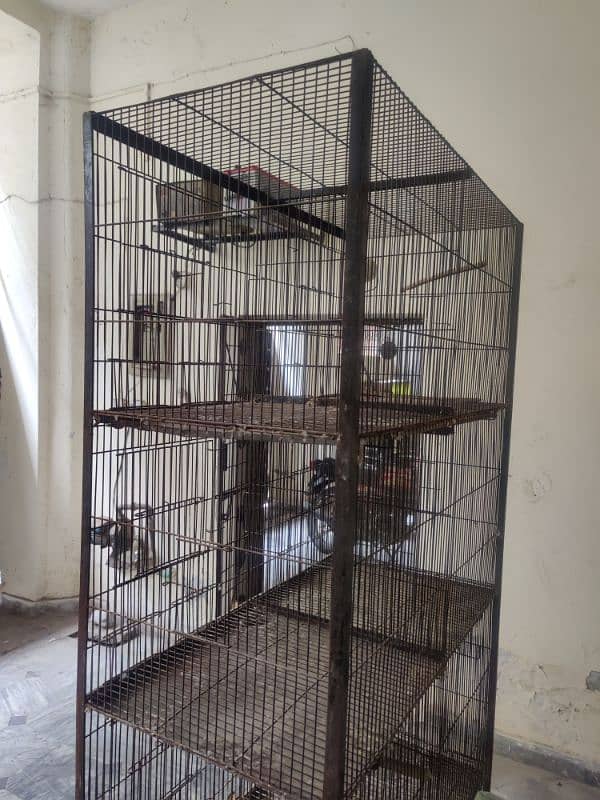 8 portions cage for Bird's 3