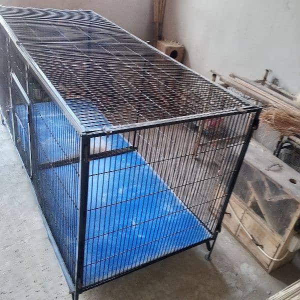 raw Ringnack gry cage 1