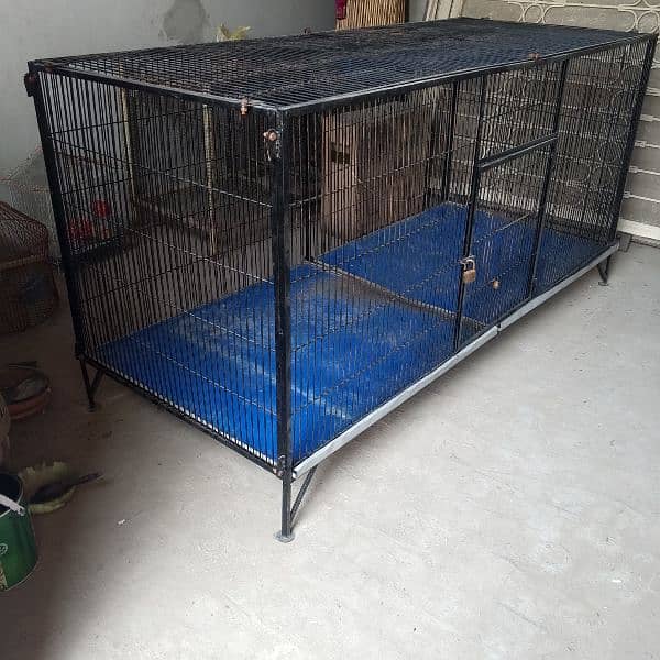 raw Ringnack gry cage 3