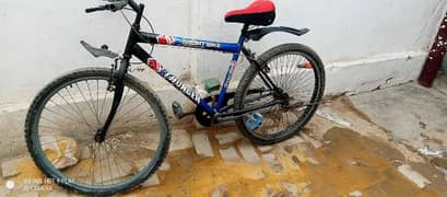 bicycle for sale