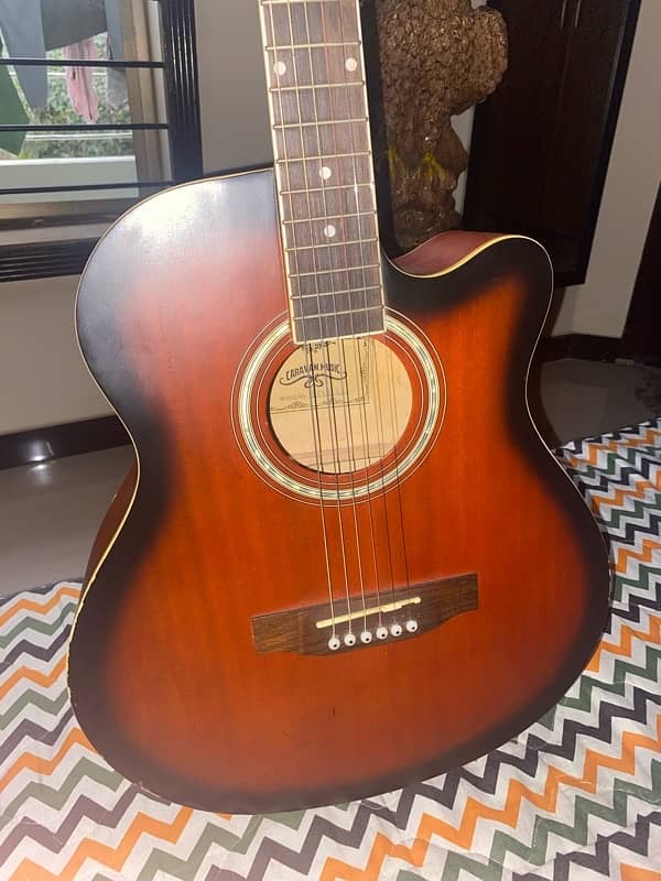 PROFESSIONAL ACOUSTIC GUITAR 0