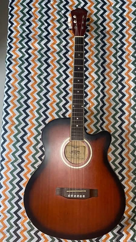 PROFESSIONAL ACOUSTIC GUITAR 1