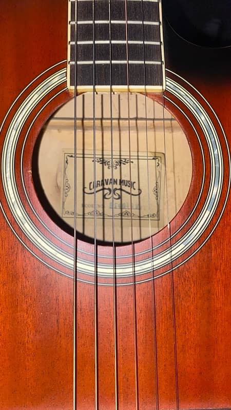 PROFESSIONAL ACOUSTIC GUITAR 4