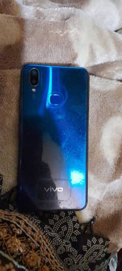 vivo