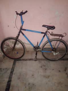 Phoenix cycle for sale