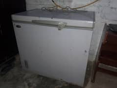 Single door freezer