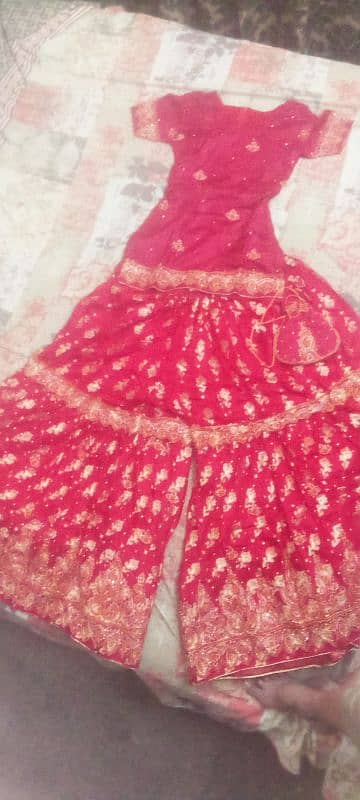 Bridal wedding banarsi pure silk gharara, duppatta and pouch 0