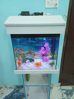 New Aquarium with Fishes 10/10 condition