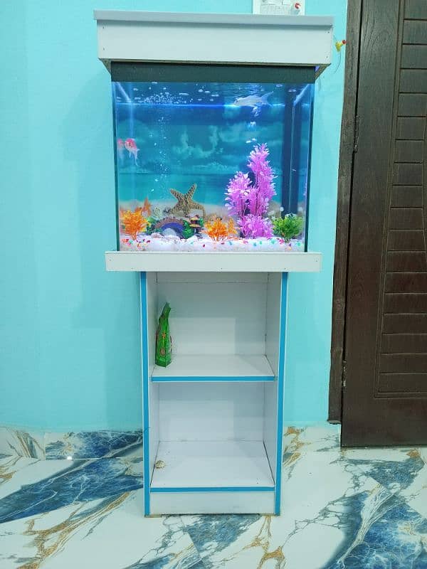 New Aquarium with Fishes 10/10 condition 1