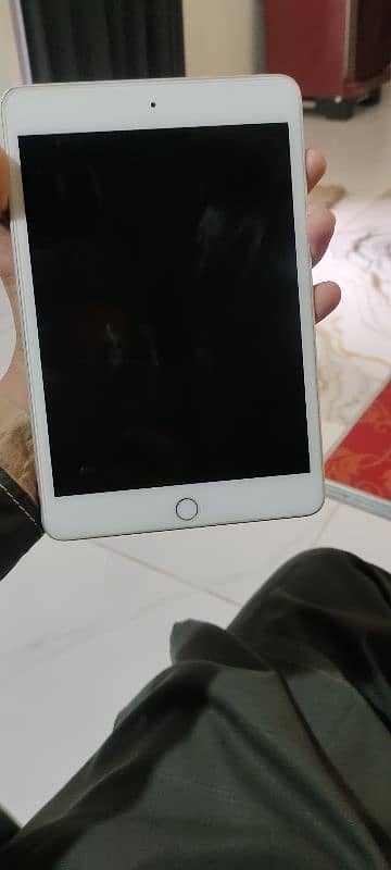 ipad mini 5 1