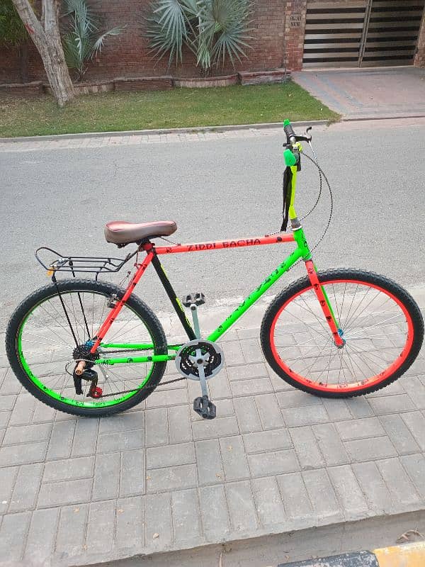 Phonix bicycle: 0