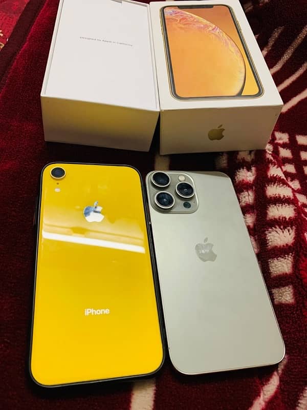 Iphone xr 256gb dual physical sim pta approved 1