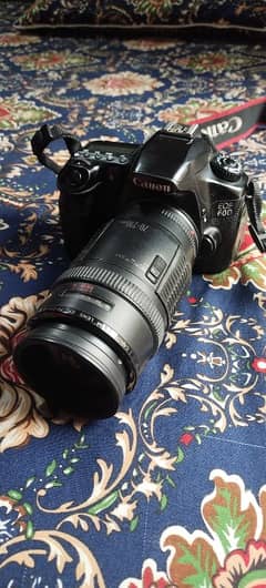 Canon 60D with 70/210 lens