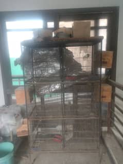 2 bird cage for sale