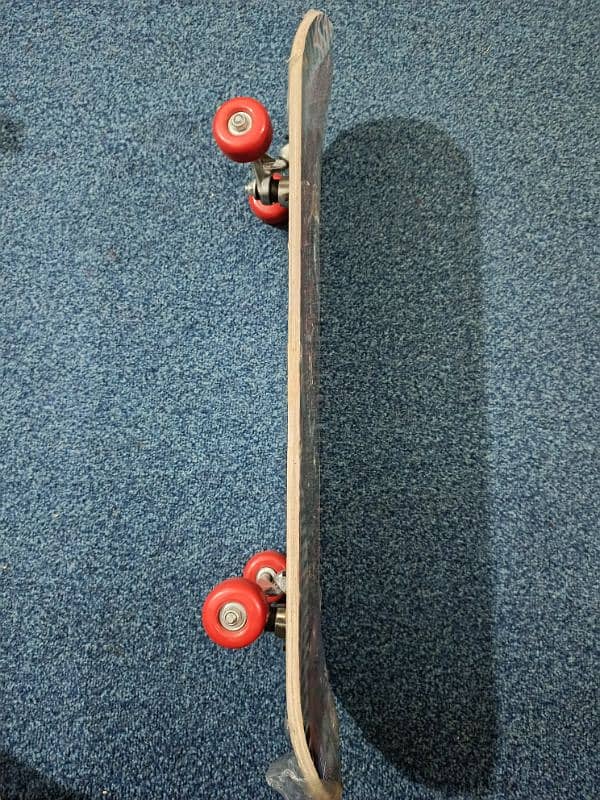 skateboard 1