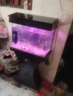 fish aquarium with 6 fishs and 2 pumps