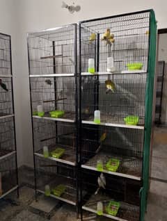 Birds Cages and used accessories