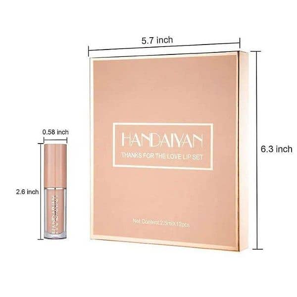 Matte Finish Lip Gloss- Pack of 12 5