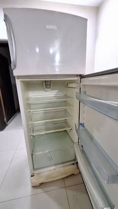 **Electrolux Imported Fridge**