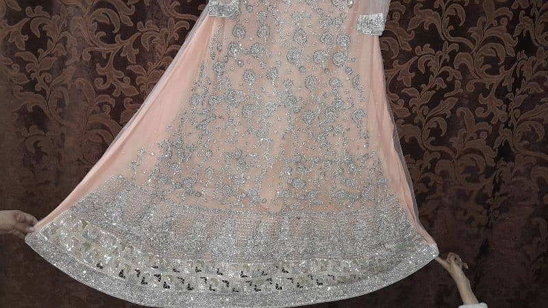 Walima Maxci 1