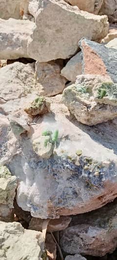 green clinozoisite/zoisite/epidote /gemstone