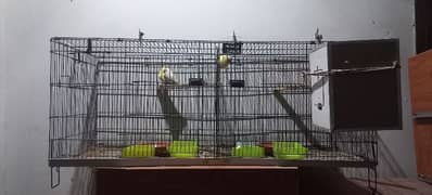 Cage for sale