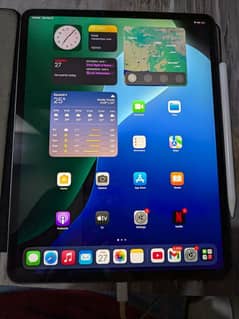 Ipad Pro 2018 13 inches 256GB Cellular Version