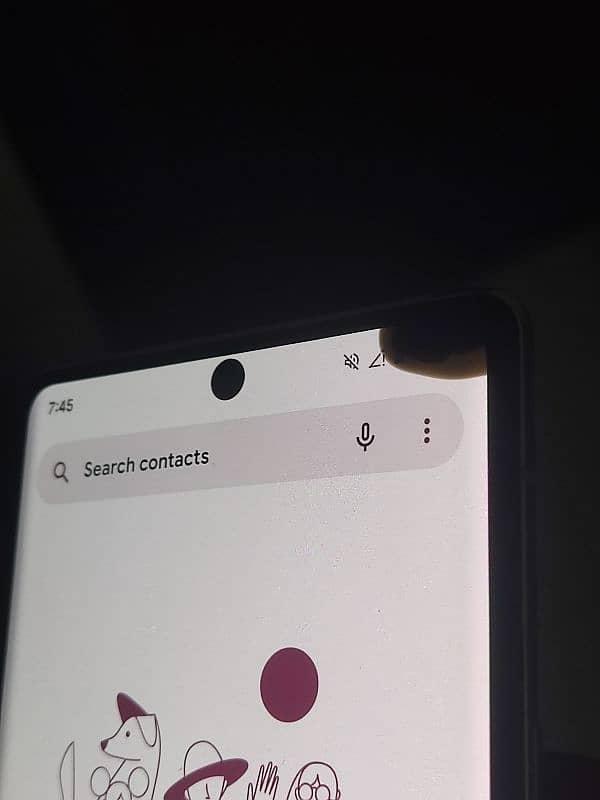 Google pixel 6 pro read add only phone 4