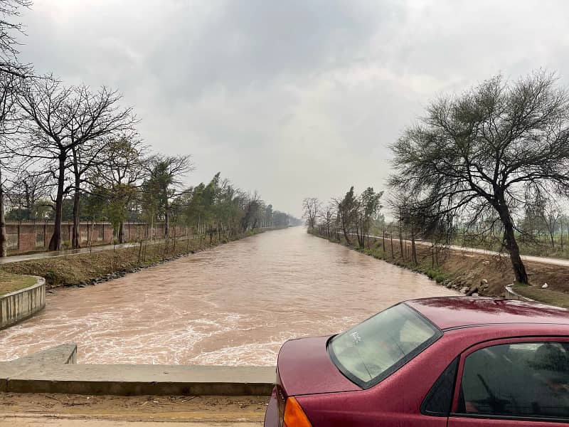 MUSTAFAD CANAL near AHUWAT UNIVERSITY 3 Acar 0