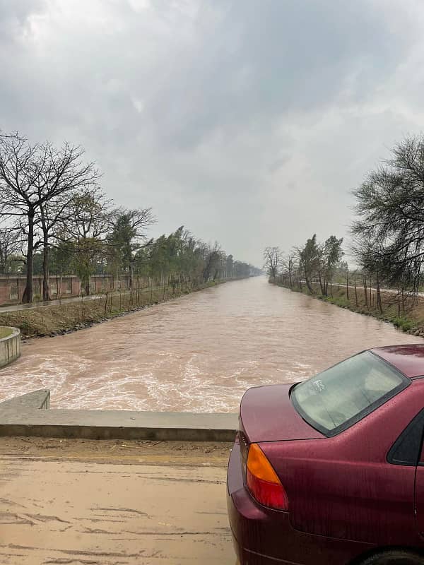 MUSTAFAD CANAL near AHUWAT UNIVERSITY 3 Acar 1