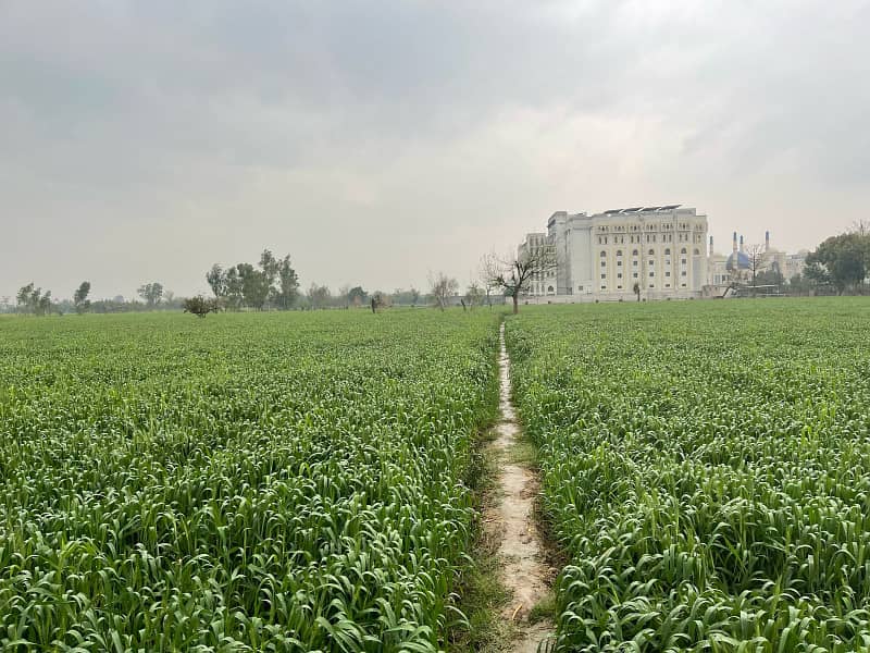 MUSTAFAD CANAL near AHUWAT UNIVERSITY 3 Acar 3